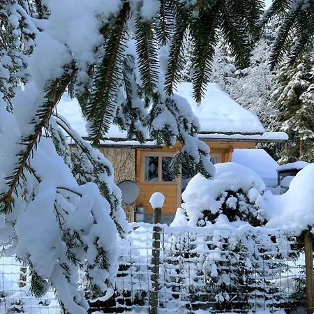Cristal Trail *